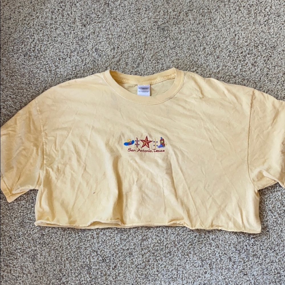 Texas cropped tee